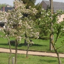 Charmehotel De stokerij te Oudenburg, West-Vlaanderen - Overnachten nabij Brugge, Oostende en De Haan